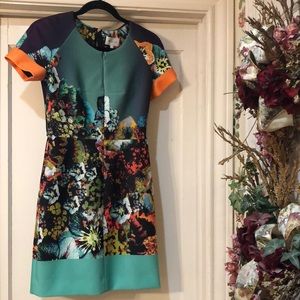 Stunning Milly Dress